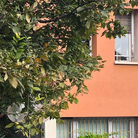 شقة ميلان  في Brera Cocoon المظهر الخارجي الصورة